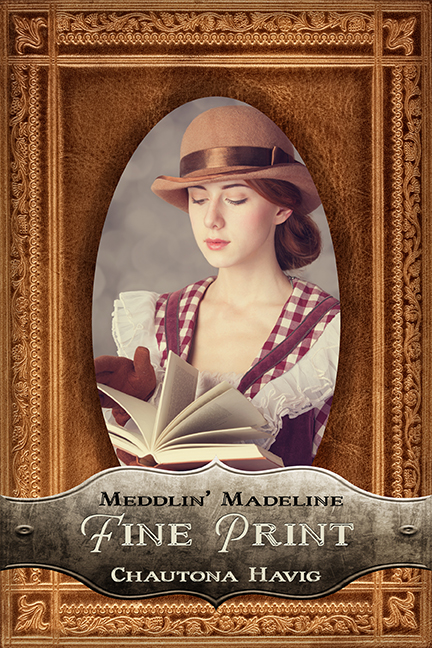 Fine Print (Meddlin’ Madeline Book 3)