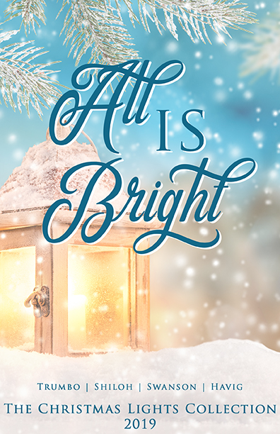 All Is Bright: The 2019 Christmas Lights Collection