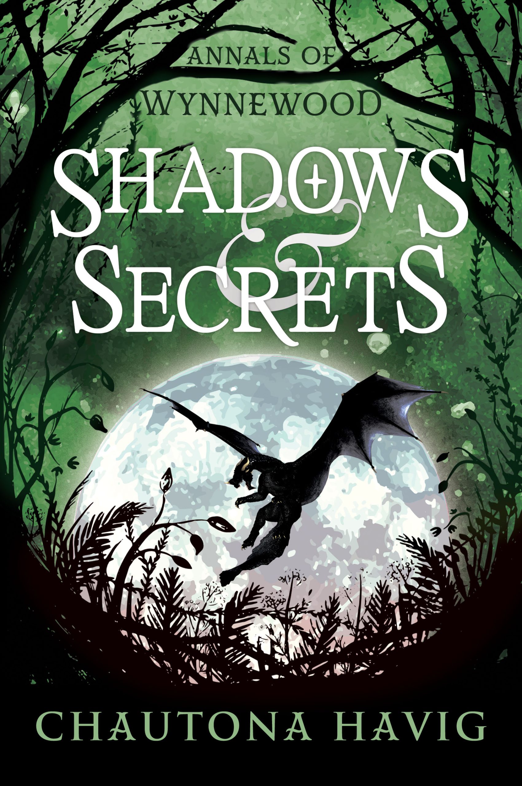 Shadows & Secrets new cover